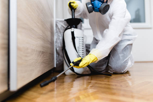 Best Best Pest Control Companies  in Cottage City, MD