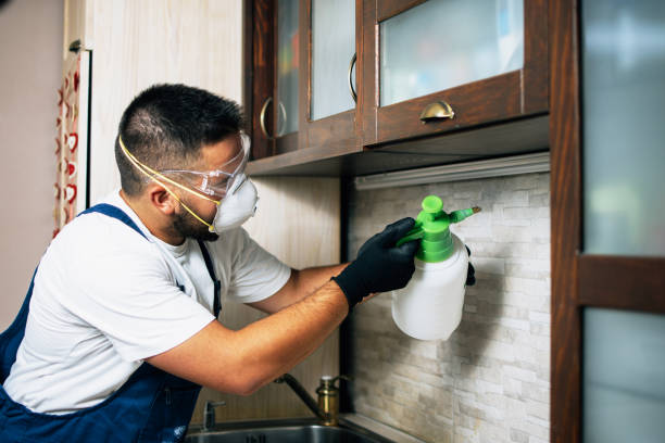 Best Insect Control  in Cottage City, MD