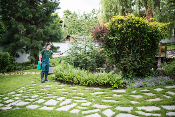 Best Wasp Removal Services  in Cottage City, MD