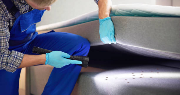 Best Mosquito Control Services  in Cottage City, MD